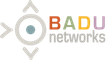 Badu Networks Logo